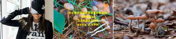 дмт Абаза