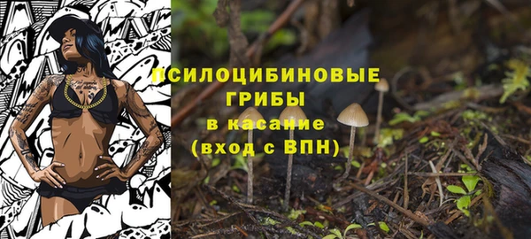 ГАЛЛЮЦИНОГЕННЫЕ ГРИБЫ Абдулино