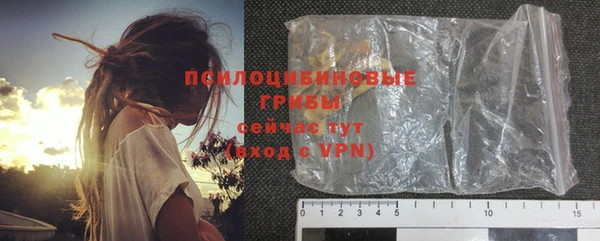 ГАЛЛЮЦИНОГЕННЫЕ ГРИБЫ Абдулино
