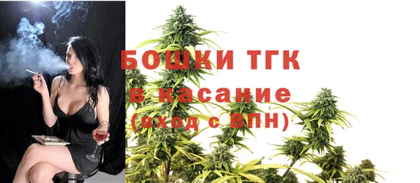 дмт Абаза