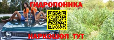 сатива Кунгур