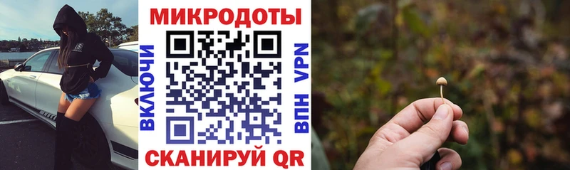 Псилоцибиновые грибы MAGIC MUSHROOMS  Сальск 