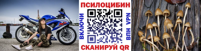 Псилоцибиновые грибы мицелий Сальск