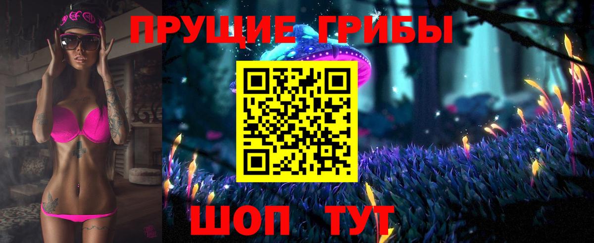 Псилоцибиновые грибы Psilocybine cubensis Сальск