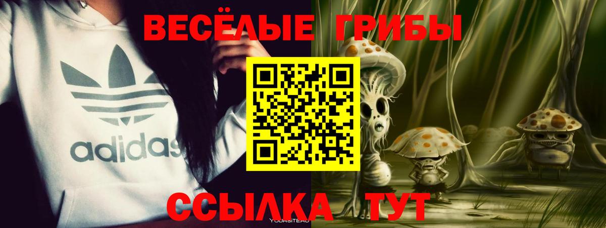 Сальск  Галлюциногенные грибы Magic Shrooms  Вход с VPN 