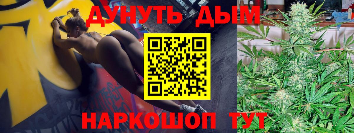 Бошки марихуана семена  МАРИХУАНА сатива  Каннабис семена  Шишки марихуана AK-47  Вход с VPN  Сальск 